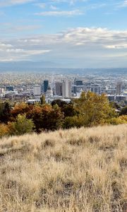 Preview wallpaper city, nature, view, grass, trees