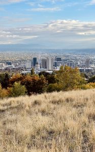 Preview wallpaper city, nature, view, grass, trees