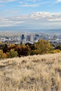 Preview wallpaper city, nature, view, grass, trees