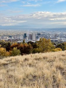Preview wallpaper city, nature, view, grass, trees