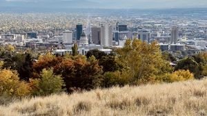 Preview wallpaper city, nature, view, grass, trees