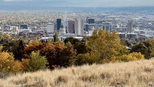 Preview wallpaper city, nature, view, grass, trees