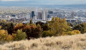 Preview wallpaper city, nature, view, grass, trees