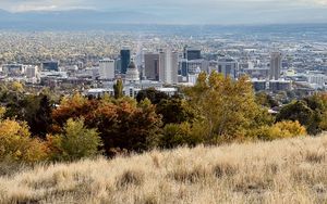 Preview wallpaper city, nature, view, grass, trees