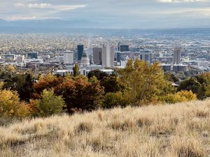 Preview wallpaper city, nature, view, grass, trees