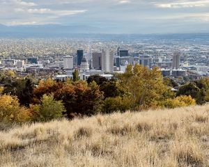 Preview wallpaper city, nature, view, grass, trees