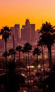 Preview wallpaper city, palm trees, sunset, buildings, skyscrapers, los angeles