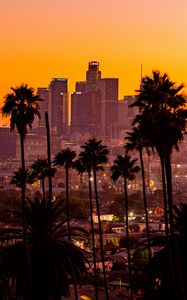 Preview wallpaper city, palm trees, sunset, buildings, skyscrapers, los angeles