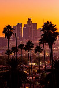 Preview wallpaper city, palm trees, sunset, buildings, skyscrapers, los angeles