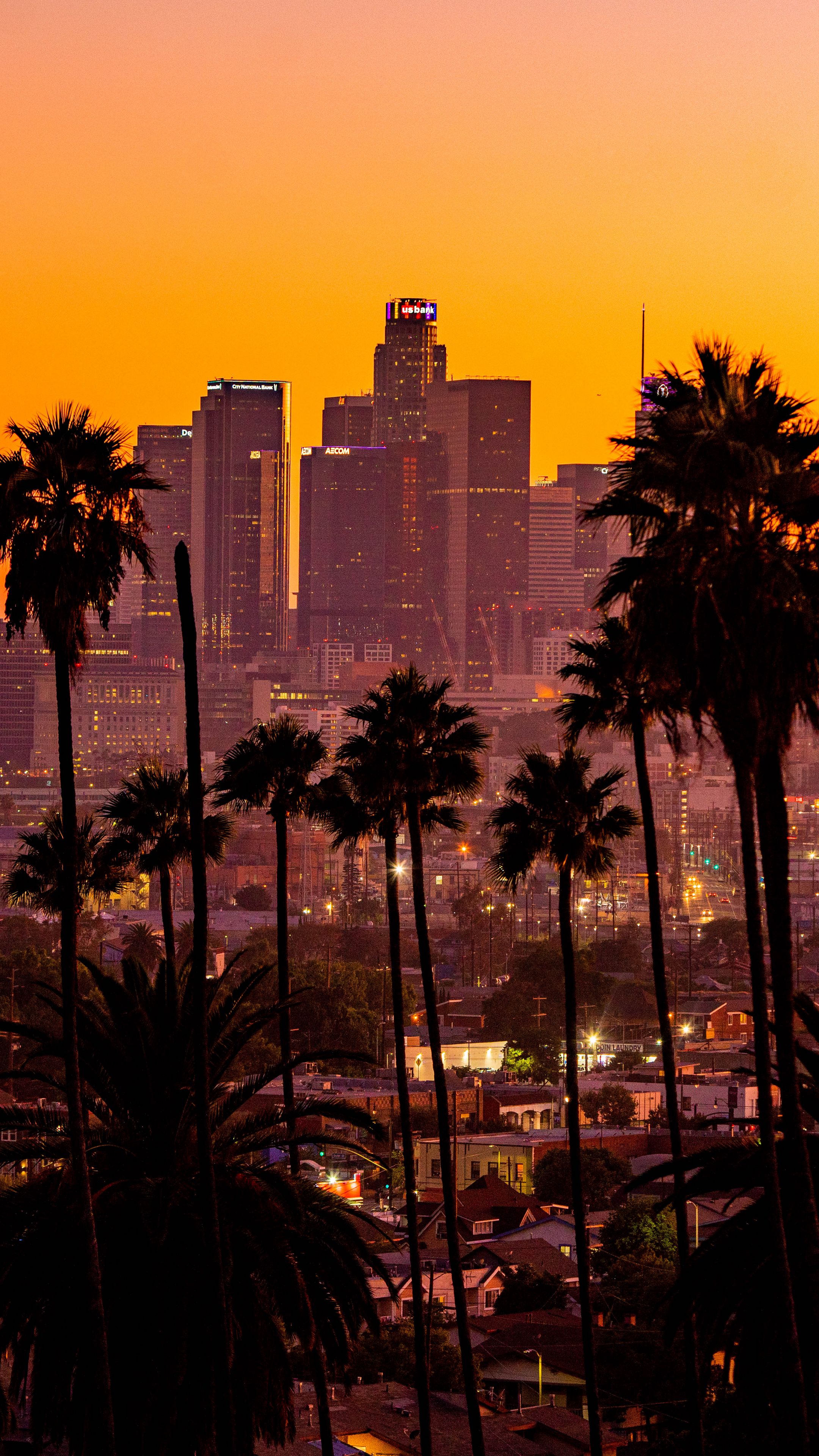 Download wallpaper 2160x3840 city, palm trees, sunset, buildings ...