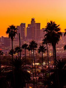 Preview wallpaper city, palm trees, sunset, buildings, skyscrapers, los angeles