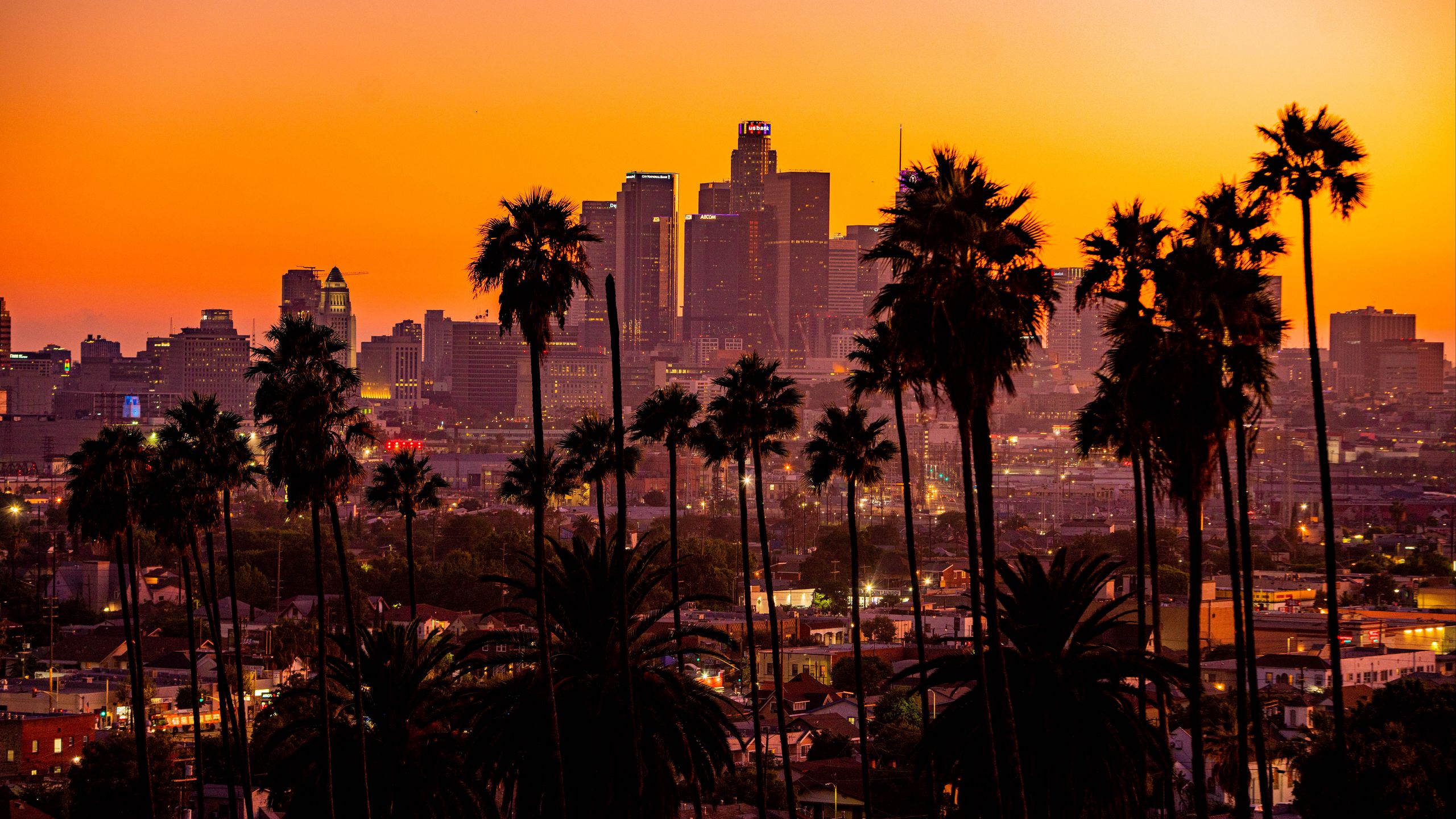 Download wallpaper 2560x1440 city, palm trees, sunset, buildings