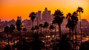 Preview wallpaper city, palm trees, sunset, buildings, skyscrapers, los angeles