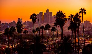 Preview wallpaper city, palm trees, sunset, buildings, skyscrapers, los angeles
