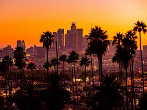 Preview wallpaper city, palm trees, sunset, buildings, skyscrapers, los angeles