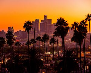 Preview wallpaper city, palm trees, sunset, buildings, skyscrapers, los angeles