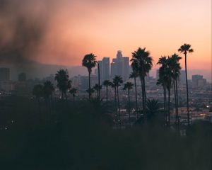 Preview wallpaper city, palm, view, overview, twilight, dark