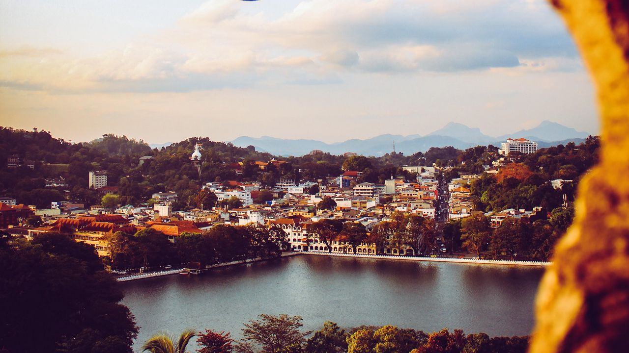 Wallpaper city, river, branch, bushes, aerial view