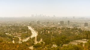 Preview wallpaper city, road, buildings, trees, fog