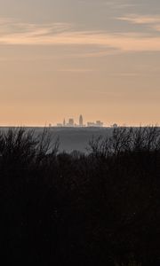 Preview wallpaper city, skyline, sunset, grass, fog