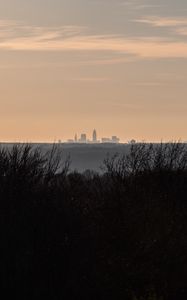 Preview wallpaper city, skyline, sunset, grass, fog