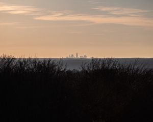 Preview wallpaper city, skyline, sunset, grass, fog