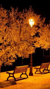 Preview wallpaper city, street, benches, lights, park, evening