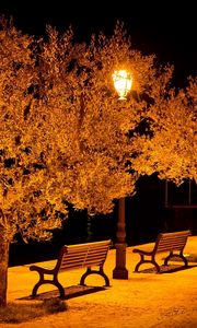 Preview wallpaper city, street, benches, lights, park, evening