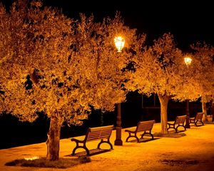Preview wallpaper city, street, benches, lights, park, evening