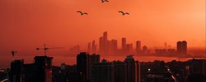 Preview wallpaper city, sunset, aerial view, dusk, buildings, birds
