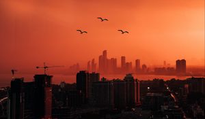 Preview wallpaper city, sunset, aerial view, dusk, buildings, birds
