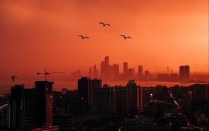 Preview wallpaper city, sunset, aerial view, dusk, buildings, birds