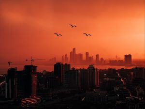 Preview wallpaper city, sunset, aerial view, dusk, buildings, birds