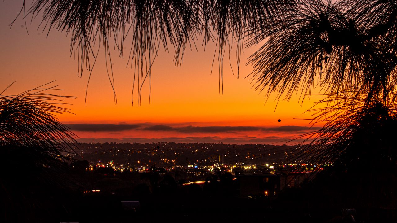 Wallpaper city, sunset, branches, tree