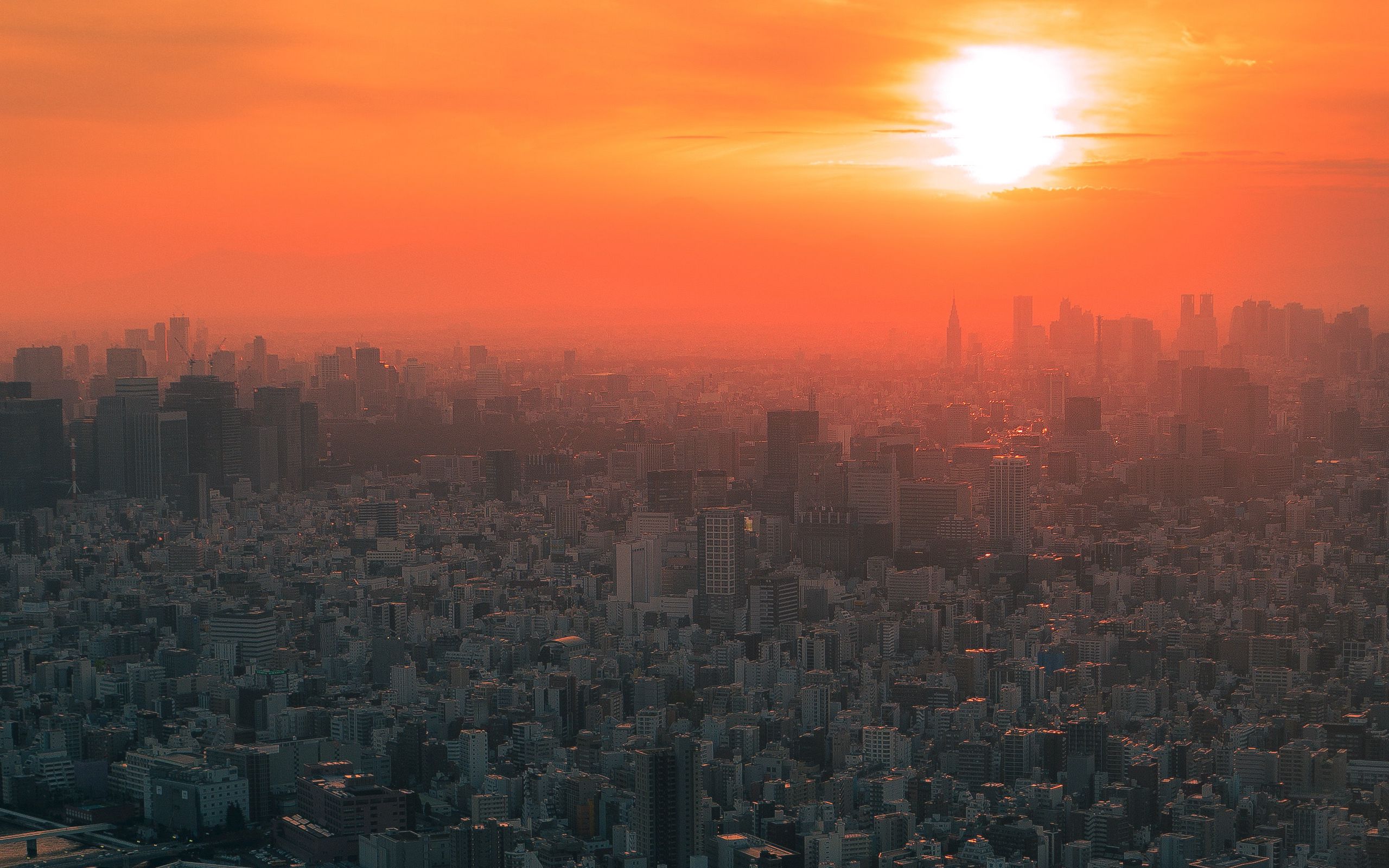 Download wallpaper 2560x1600 city, sunset, fog, aerial view, tokyo ...