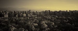 Preview wallpaper city, trees, sky, dark
