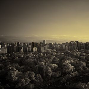 Preview wallpaper city, trees, sky, dark