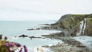 Preview wallpaper cliff, coast, flowers, sea, rocks, horizon