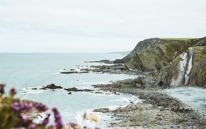 Preview wallpaper cliff, coast, flowers, sea, rocks, horizon