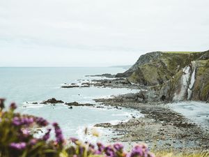 Preview wallpaper cliff, coast, flowers, sea, rocks, horizon