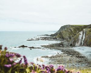 Preview wallpaper cliff, coast, flowers, sea, rocks, horizon