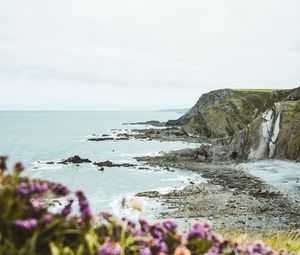 Preview wallpaper cliff, coast, flowers, sea, rocks, horizon