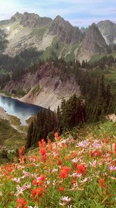 Preview wallpaper cliff lake, idaho, mountains, flowers, trees