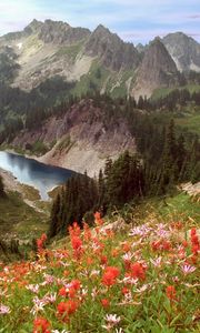 Preview wallpaper cliff lake, idaho, mountains, flowers, trees