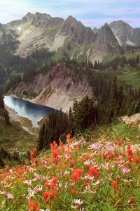 Preview wallpaper cliff lake, idaho, mountains, flowers, trees