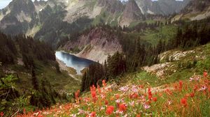 Preview wallpaper cliff lake, idaho, mountains, flowers, trees