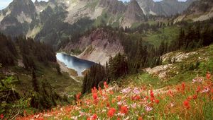 Preview wallpaper cliff lake, idaho, mountains, flowers, trees