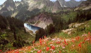 Preview wallpaper cliff lake, idaho, mountains, flowers, trees