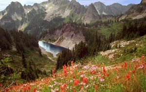 Preview wallpaper cliff lake, idaho, mountains, flowers, trees