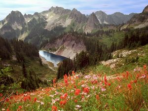 Preview wallpaper cliff lake, idaho, mountains, flowers, trees